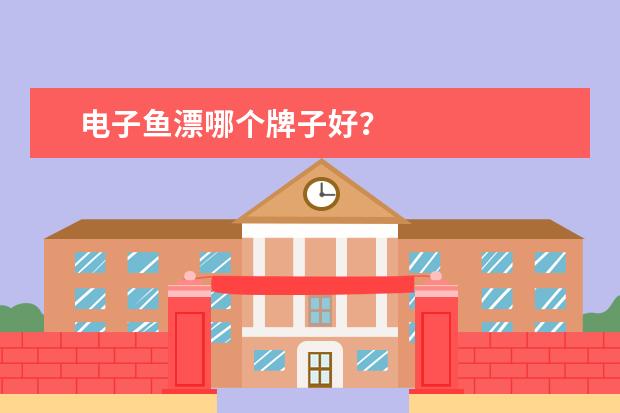 电子鱼漂哪个牌子好？