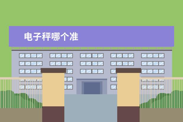 电子秤哪个准