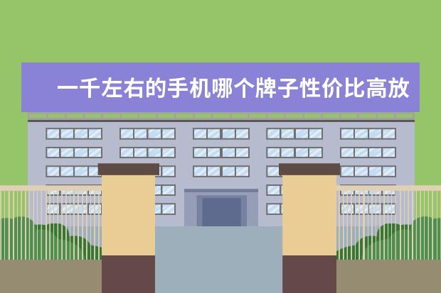 一千左右的手机哪个牌子性价比高放映快内存大，适合青少年男生用的，