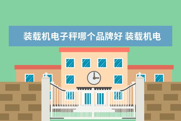 装载机电子秤哪个品牌好 装载机电子秤那家的比较好，性能稳定？