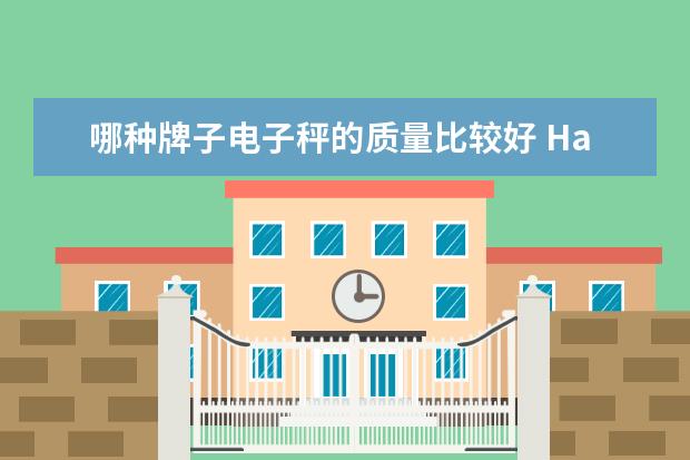 哪种牌子电子秤的质量比较好 Hauswirt/海氏 HE-56 厨房电子秤 食品秤推荐
