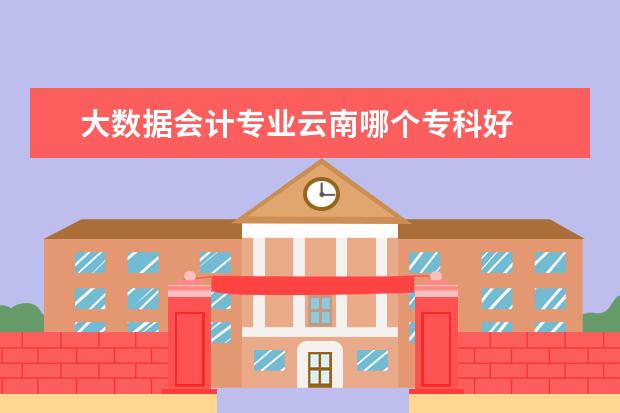 大数据会计专业云南哪个专科好