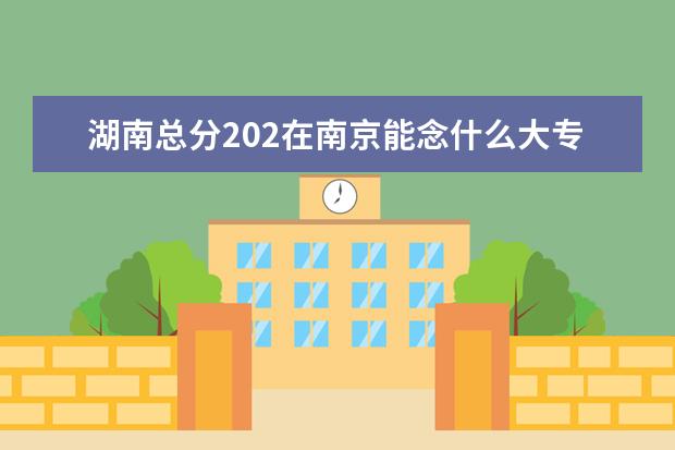 湖南总分202在南京能念什么大专?